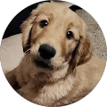 C Olson Avatar