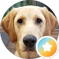 Steve Avatar